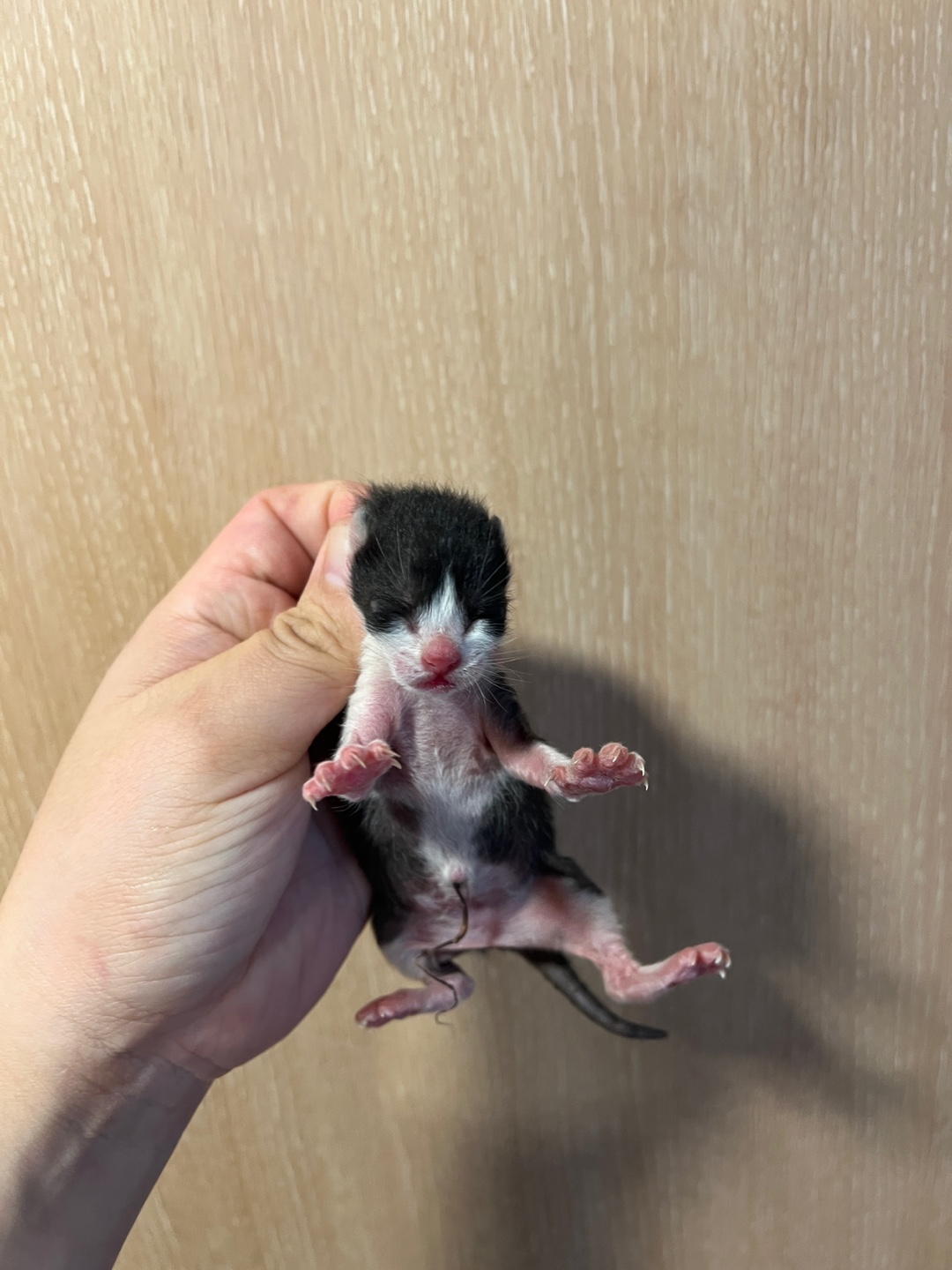 부산동물보호센터_426332202500047