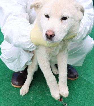 제주 동물보호센터_450650202500710