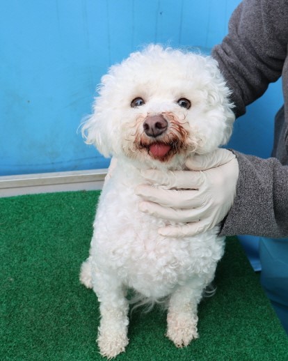 제주 동물보호센터_450650202500713