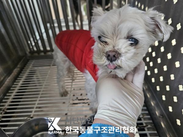 한국동물구조관리협회_441406202500261