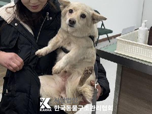한국동물구조관리협회_441559202500284