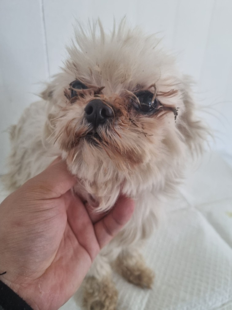 군위종합동물병원_427514202500094