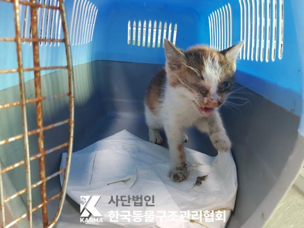 종료(자연사) 한국…