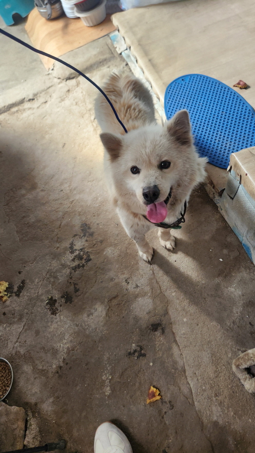 익산유기동물보호소_445468202500792