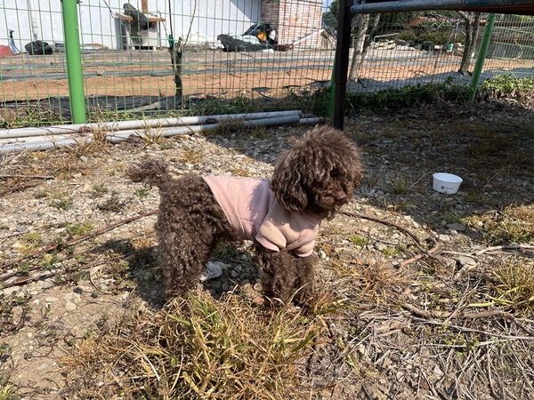 장흥군 동물보호센터_446491202500002