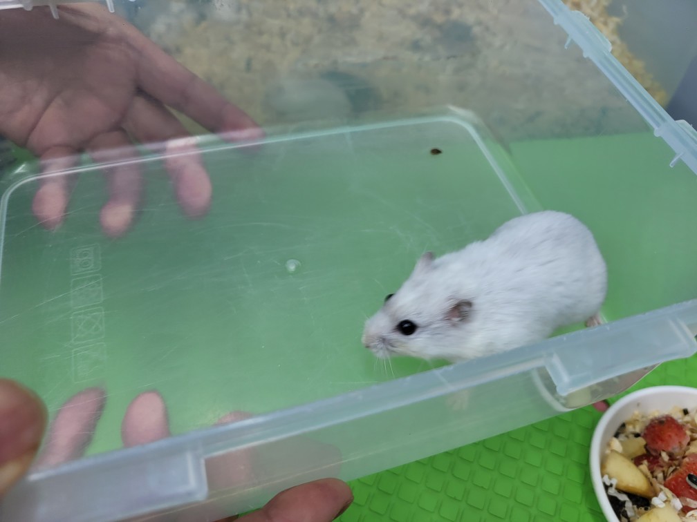 신공항동물병원_428349202500202
