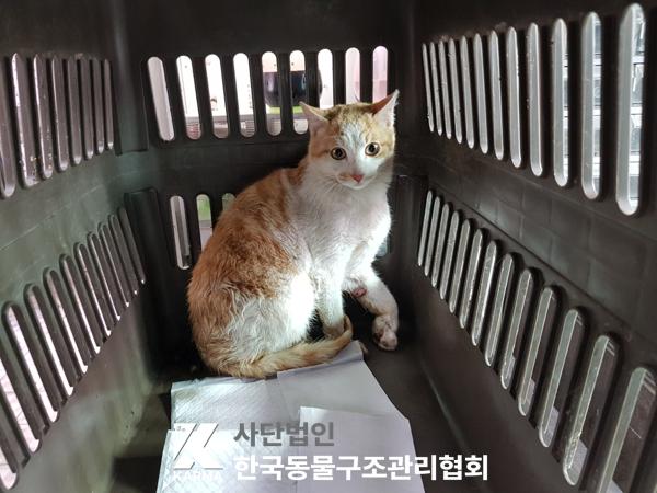 한국동물구조관리협회_441560202500374
