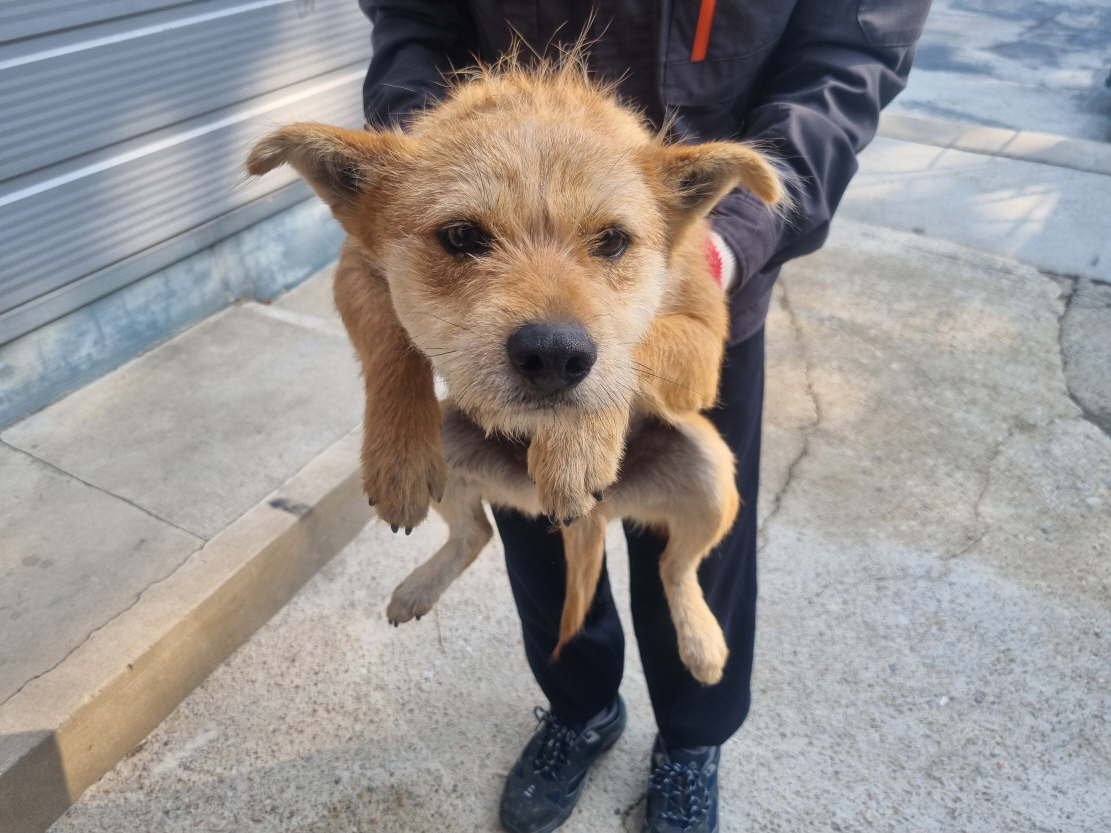 양산시 동물보호센터_448538202500175