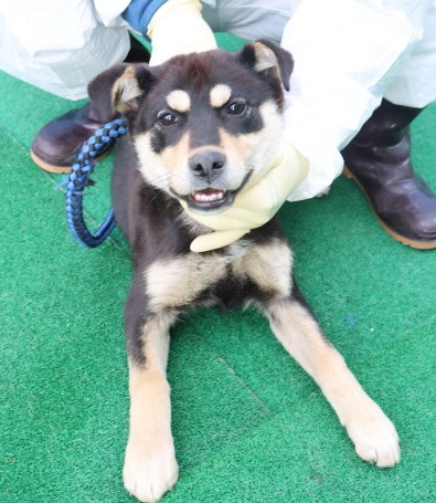 제주 동물보호센터_450650202500736