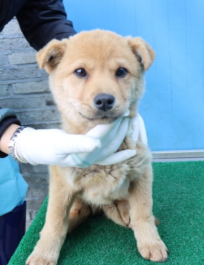 제주 동물보호센터_450650202500732