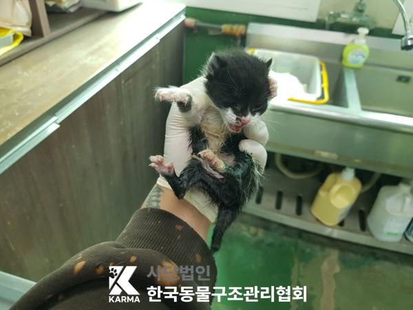 한국동물구조관리협회_441398202500182