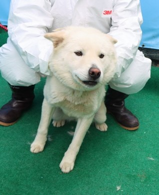 제주 동물보호센터_450650202500738