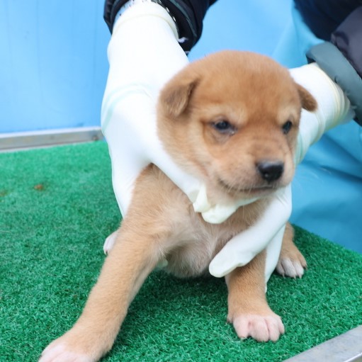 제주 동물보호센터_450650202500741