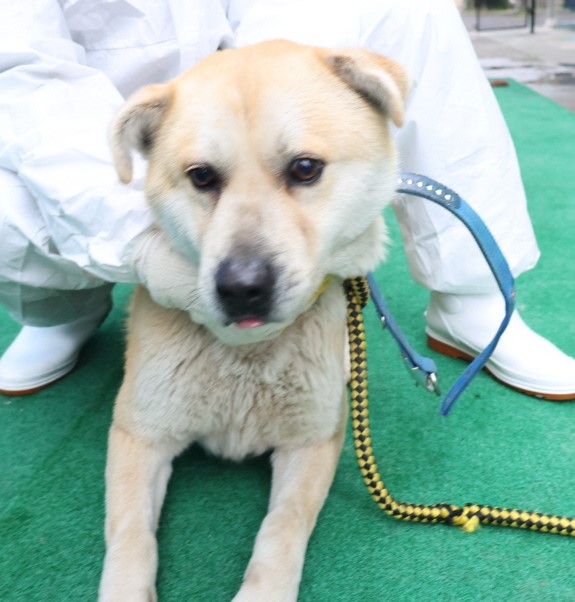 제주 동물보호센터_450650202500751