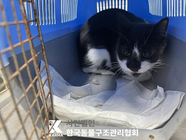 한국동물구조관리협회_411316202500170