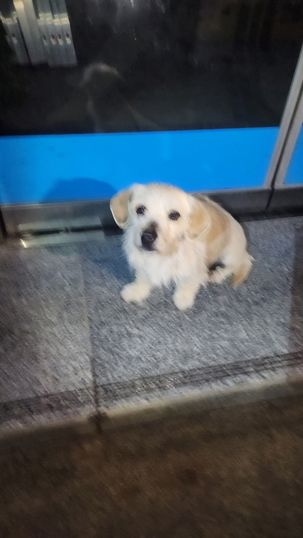 익산유기동물보호소_445468202500818
