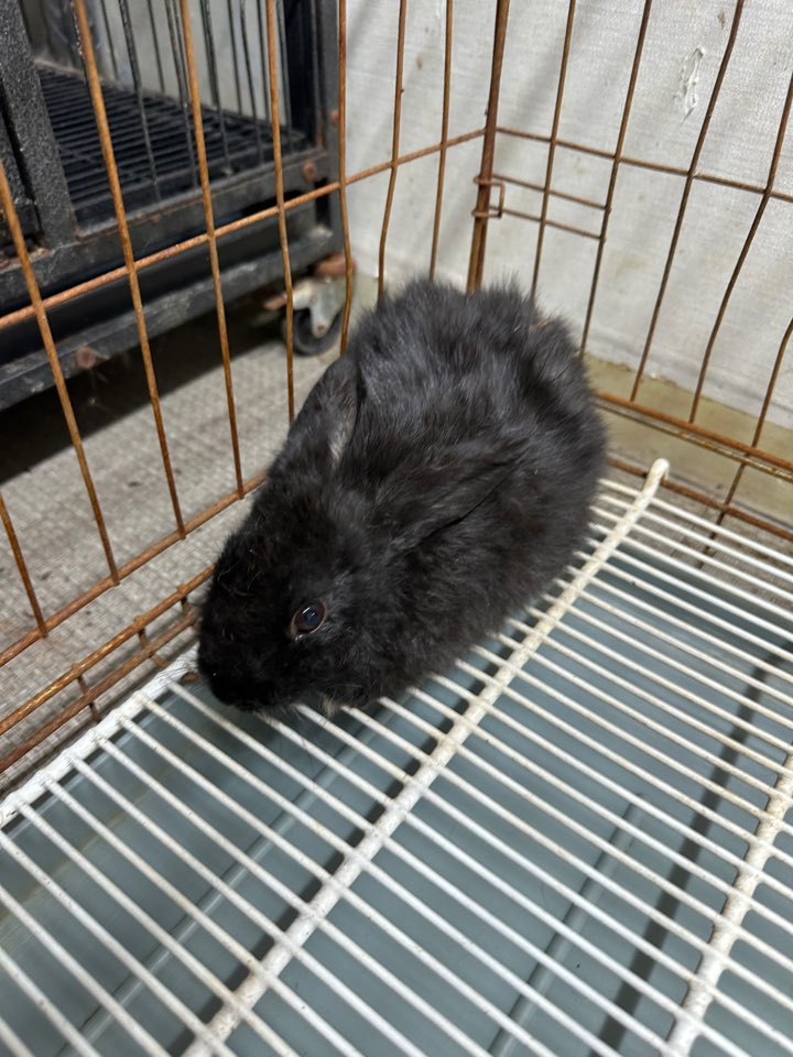 신공항동물병원_428349202500232