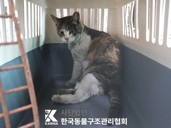 한국동물구조관리협회_411316202500178