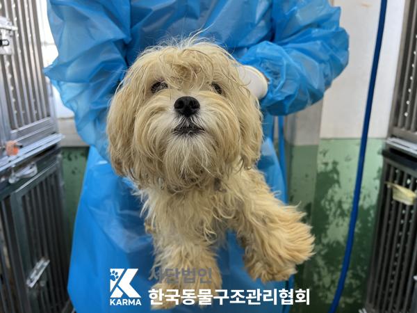 한국동물구조관리협회_411322202500143