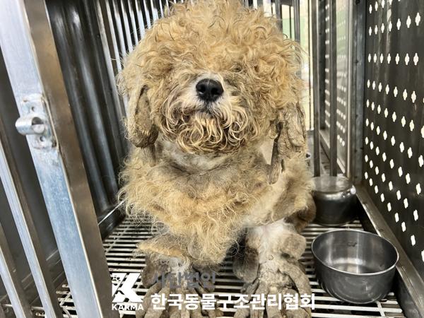 한국동물구조관리협회_411322202500144