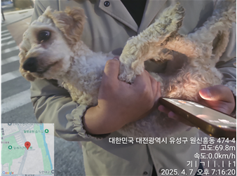 대전동물보호센터_430367202500224