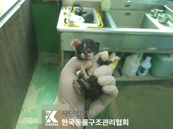 종료(자연사) 한국…