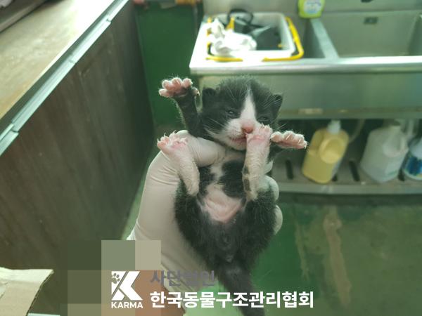 한국동물구조관리협회_441409202500472