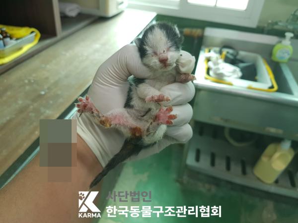 종료(자연사) 한국…