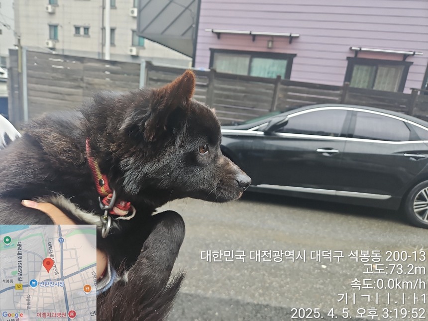 대전동물보호센터_430368202500103