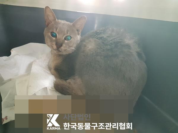 한국동물구조관리협회_411315202500225