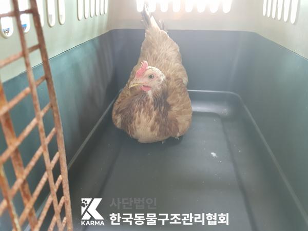 한국동물구조관리협회_411315202500224