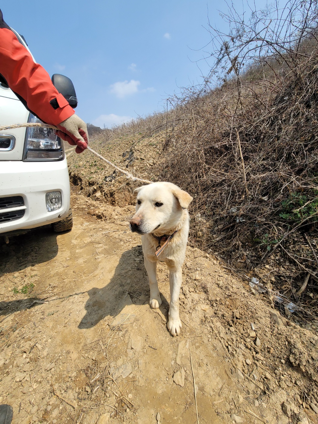 괴산증평동물보호센터_443446202500067