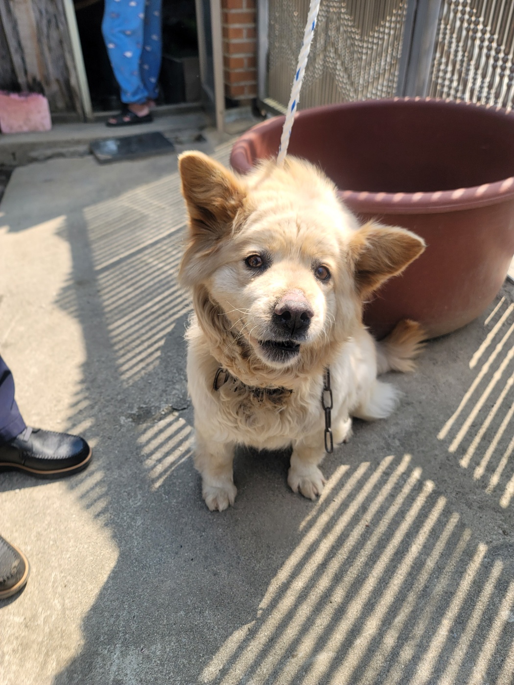 괴산증평동물보호센터_443446202500070