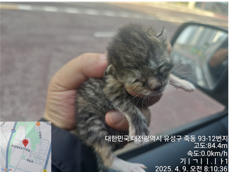 대전동물보호센터_430367202500231