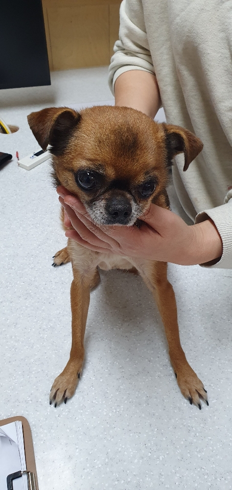 최종주동물병원_443444202500149
