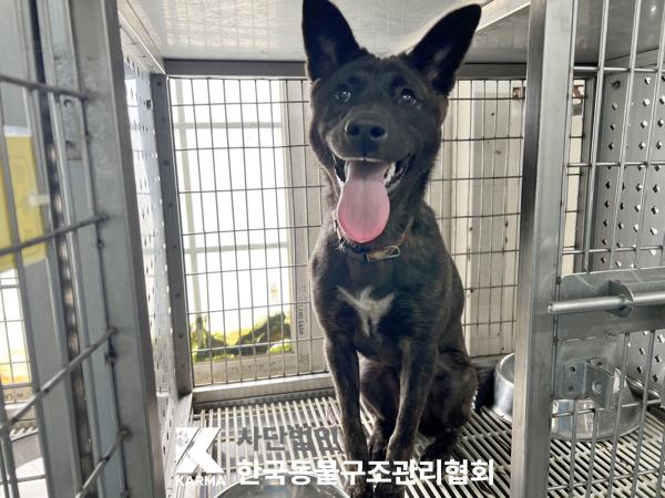 한국동물구조관리협회_411316202500186