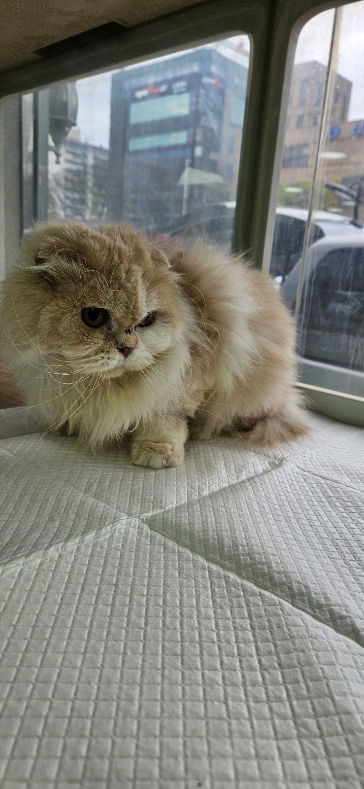 둔촌동물병원_411324202500163