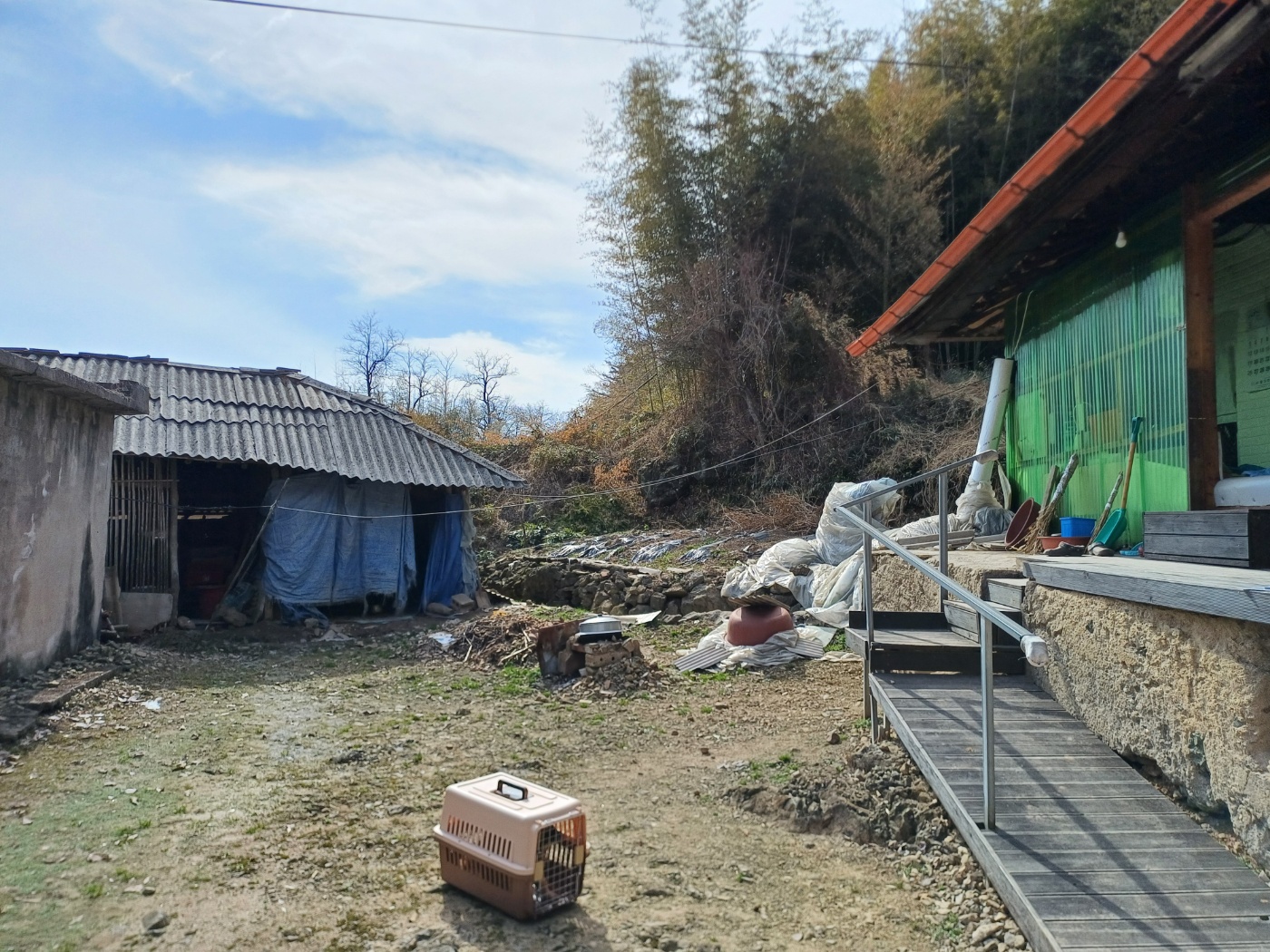 순창유기동물보호소_445477202500005