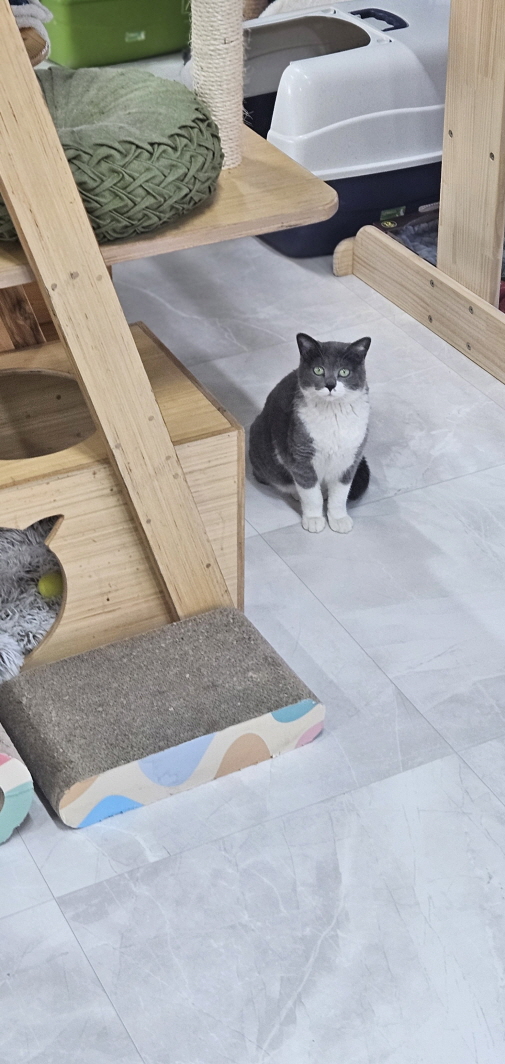 익산유기동물보호소_445468202500833