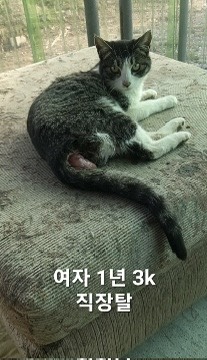 옥천동물병원_443443202500365