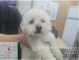 대전동물보호센터_430367202500242