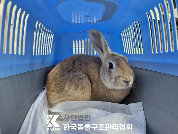 한국동물구조관리협회_411316202500202