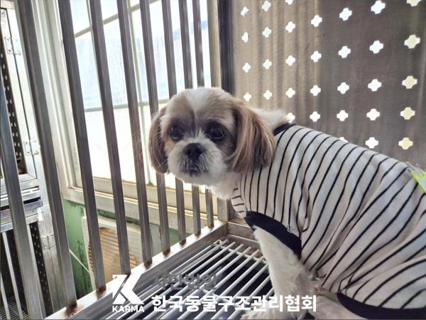 한국동물구조관리협회_411315202500246