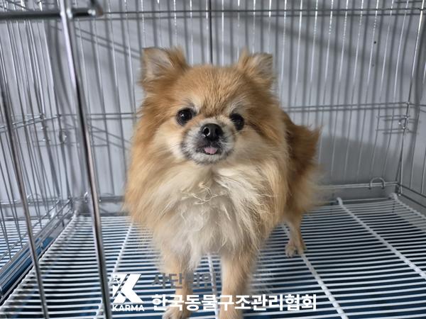 한국동물구조관리협회_411304202500194