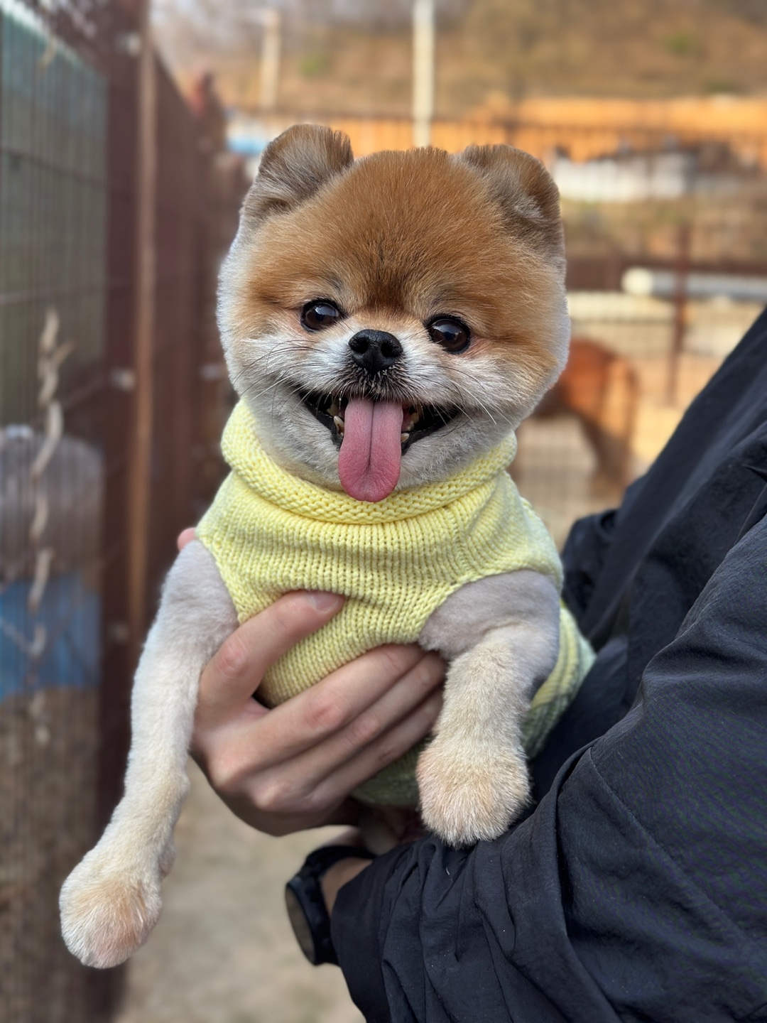 한국야생동물보호협회_441390202500182