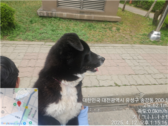대전동물보호센터_430367202500254