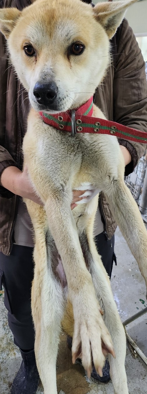 인천광역시수의사회_428353202500293