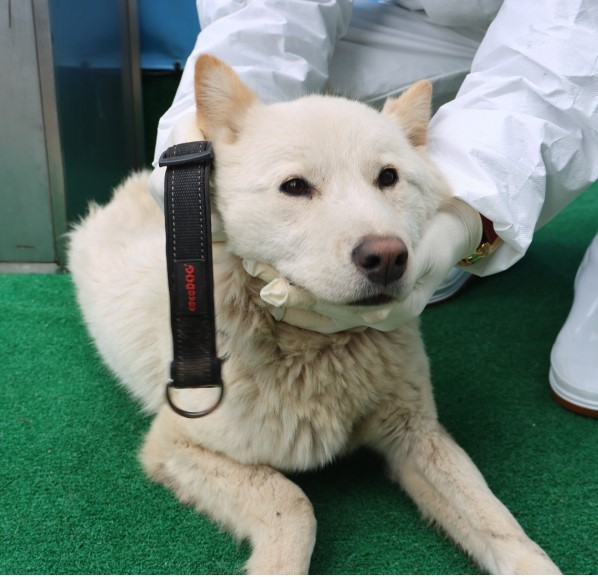 제주 동물보호센터_450650202500828