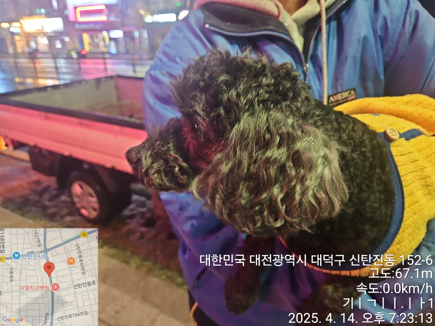 대전동물보호센터_430368202500119