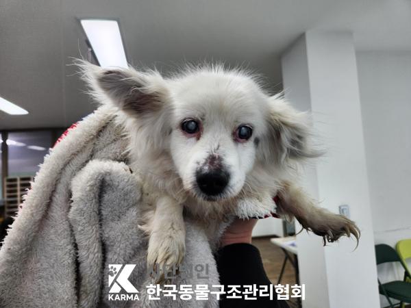 한국동물구조관리협회_441409202500532